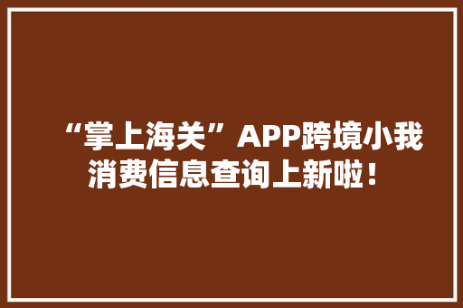 “掌上海关”APP跨境小我消费信息查询上新啦！ “掌上海关”APP跨境小我消费信息查询上新啦！ 人工智能