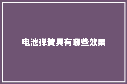 电池弹簧具有哪些效果