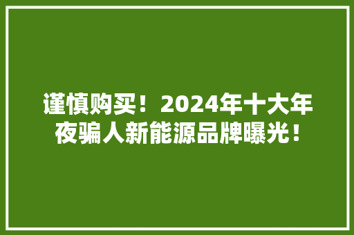 谨慎购买！2024年十大年夜骗人新能源品牌曝光！