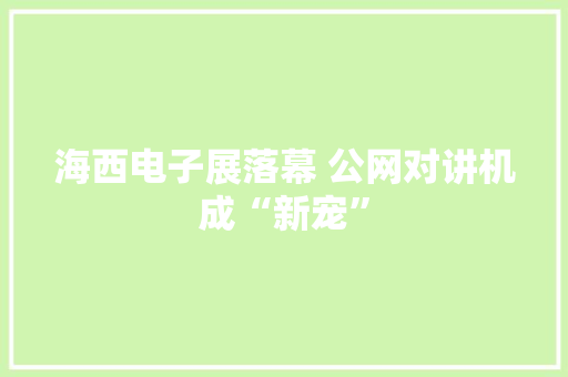 海西电子展落幕 公网对讲机成“新宠” 海西电子展落幕 公网对讲机成“新宠” 智能科技