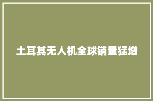 土耳其无人机全球销量猛增 土耳其无人机全球销量猛增 互联通信