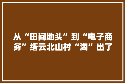 从“田间地头”到“电子商务”缙云北山村“淘”出了致富经