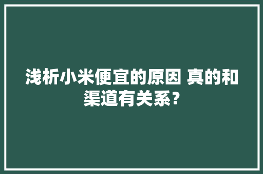 浅析小米便宜的原因 真的和渠道有关系？