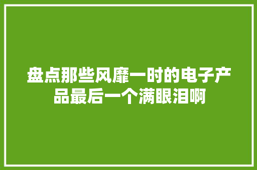 盘点那些风靡一时的电子产品最后一个满眼泪啊