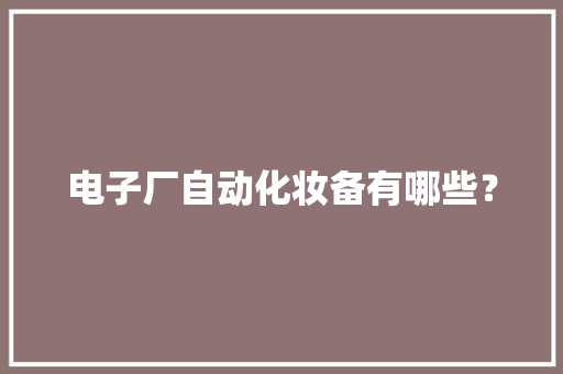 电子厂自动化妆备有哪些？