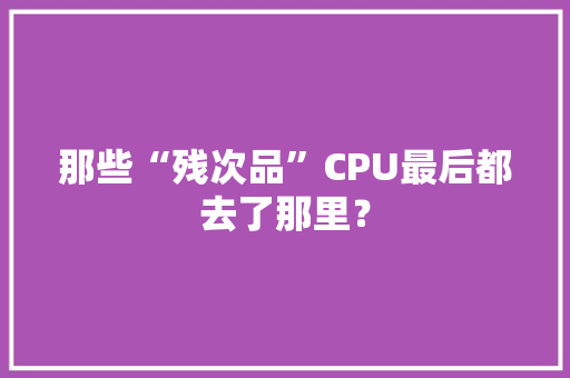 那些“残次品”CPU最后都去了那里？