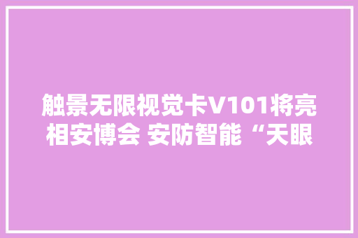 触景无限视觉卡V101将亮相安博会 安防智能“天眼”将启