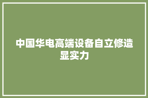 中国华电高端设备自立修造显实力