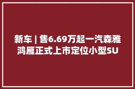 新车 | 售6.69万起一汽森雅鸿雁正式上市定位小型SUV