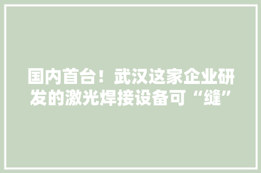 国内首台！武汉这家企业研发的激光焊接设备可“缝”16毫米厚钢板