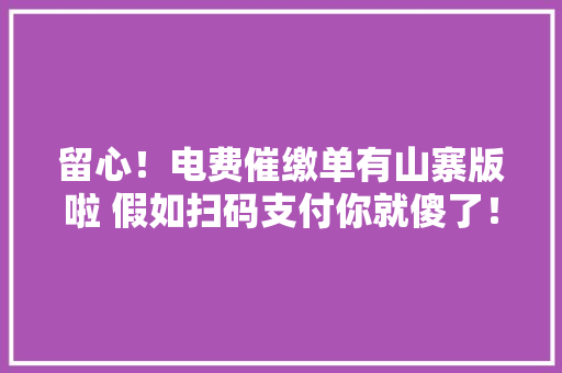 留心！电费催缴单有山寨版啦 假如扫码支付你就傻了！