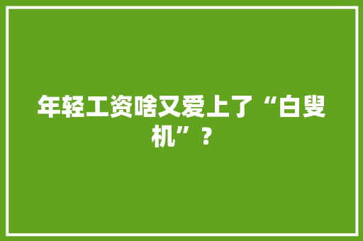 年轻工资啥又爱上了“白叟机”？