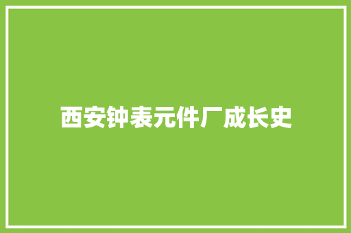 西安钟表元件厂成长史
