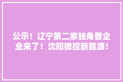 公示！辽宁第二家独角兽企业来了！沈阳微控新能源！