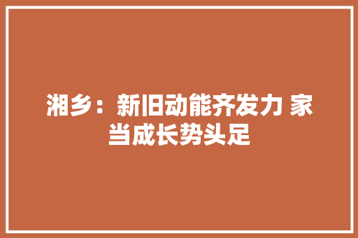 湘乡：新旧动能齐发力 家当成长势头足