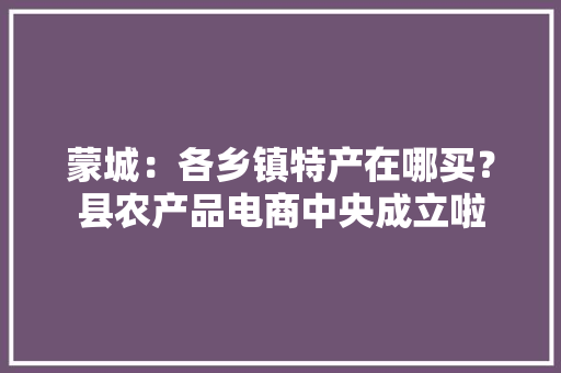 蒙城：各乡镇特产在哪买？县农产品电商中央成立啦 蒙城：各乡镇特产在哪买？县农产品电商中央成立啦 智能家居