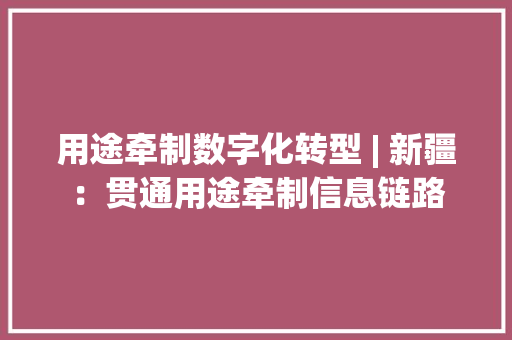 用途牵制数字化转型 | 新疆：贯通用途牵制信息链路 用途牵制数字化转型 | 新疆：贯通用途牵制信息链路 智能科技