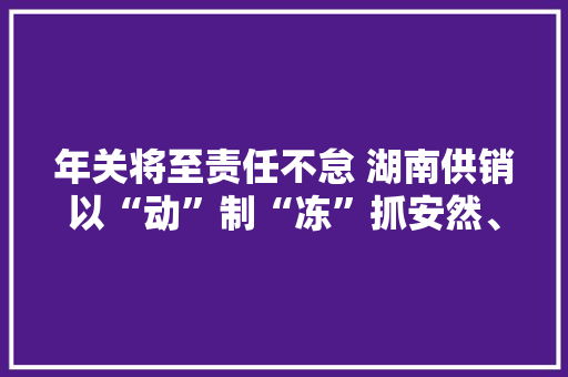 年关将至责任不怠 湖南供销以“动”制“冻”抓安然、保供应