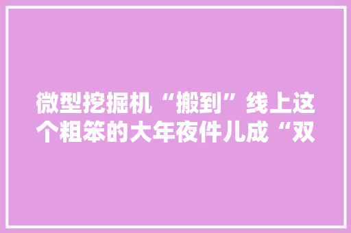 微型挖掘机“搬到”线上这个粗笨的大年夜件儿成“双十一爆款”