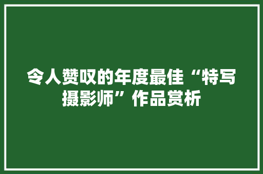 令人赞叹的年度最佳“特写摄影师”作品赏析 令人赞叹的年度最佳“特写摄影师”作品赏析 智能科技