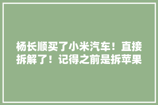杨长顺买了小米汽车！直接拆解了！记得之前是拆苹果手机火起来的 杨长顺买了小米汽车！直接拆解了！记得之前是拆苹果手机火起来的 智能科技