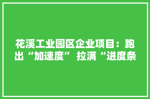 花溪工业园区企业项目：跑出“加速度” 拉满“进度条”