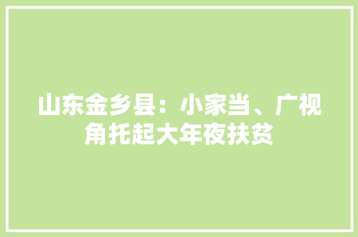 山东金乡县：小家当、广视角托起大年夜扶贫