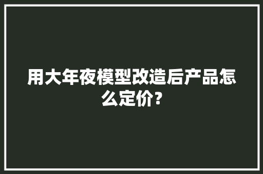 用大年夜模型改造后产品怎么定价？