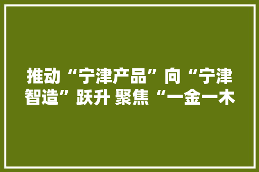 推动“宁津产品”向“宁津智造”跃升 聚焦“一金一木”  培植“品牌之都” 推动“宁津产品”向“宁津智造”跃升 聚焦“一金一木”  培植“品牌之都” 人工智能