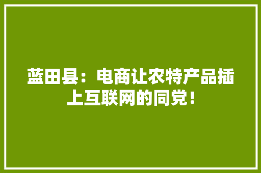 蓝田县：电商让农特产品插上互联网的同党！