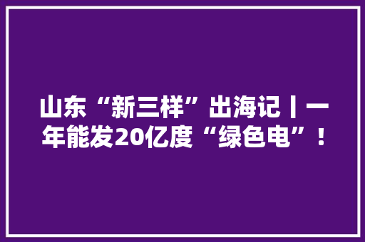 山东“新三样”出海记丨一年能发20亿度“绿色电”！东营“爆款”光伏产品畅销30多个国家