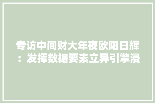 专访中间财大年夜欧阳日辉：发挥数据要素立异引擎浸染 助力成长新质分娩力