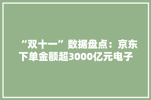 “双十一”数据盘点：京东下单金额超3000亿元电子产品发卖火爆