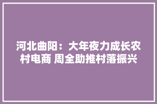 河北曲阳：大年夜力成长农村电商 周全助推村落振兴