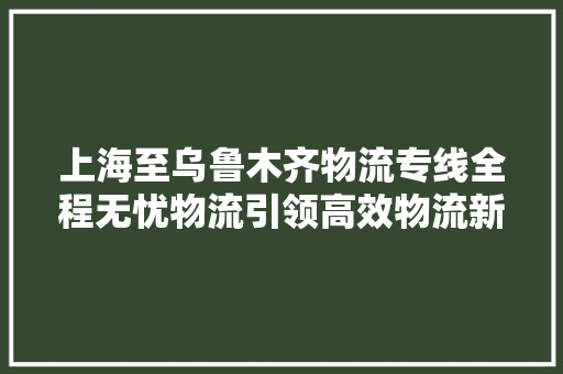 上海至乌鲁木齐物流专线全程无忧物流引领高效物流新时代