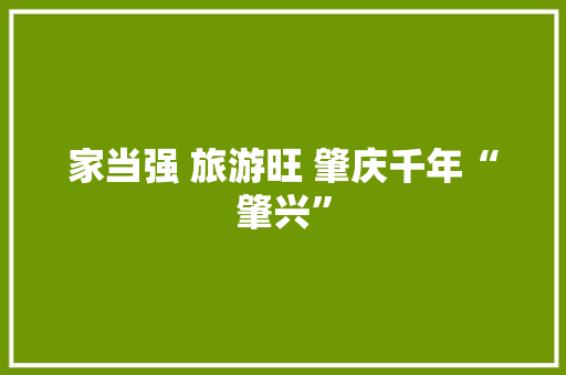 家当强 旅游旺 肇庆千年“肇兴” 家当强 旅游旺 肇庆千年“肇兴” 智能家居