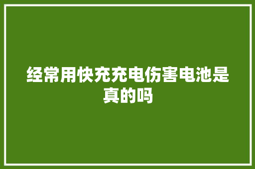 经常用快充充电伤害电池是真的吗 经常用快充充电伤害电池是真的吗 智能科技