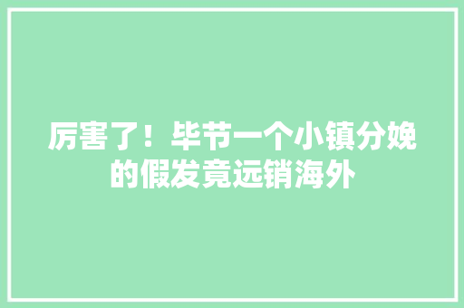 厉害了！毕节一个小镇分娩的假发竟远销海外 厉害了！毕节一个小镇分娩的假发竟远销海外 智能家居