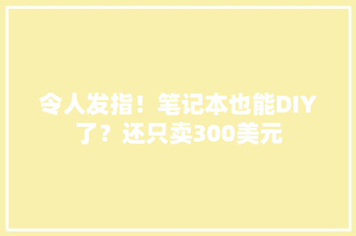 令人发指！笔记本也能DIY了？还只卖300美元 令人发指！笔记本也能DIY了？还只卖300美元 智能家居
