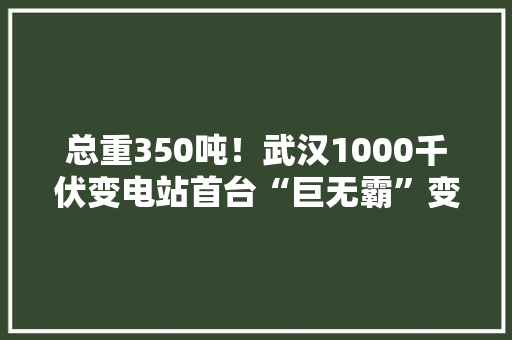 总重350吨！武汉1000千伏变电站首台“巨无霸”变压器进场 总重350吨！武汉1000千伏变电站首台“巨无霸”变压器进场 人工智能