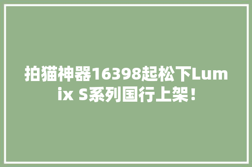 拍猫神器16398起松下Lumix S系列国行上架！