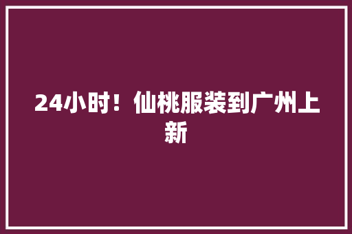 24小时！仙桃服装到广州上新 24小时！仙桃服装到广州上新 人工智能
