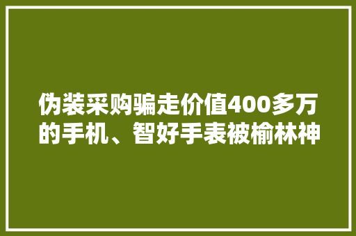 伪装采购骗走价值400多万的手机、智好手表被榆林神木警方抓获