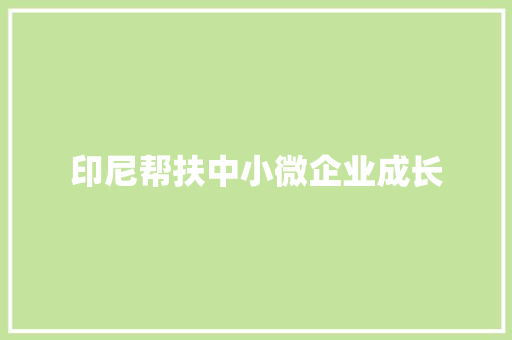 印尼帮扶中小微企业成长