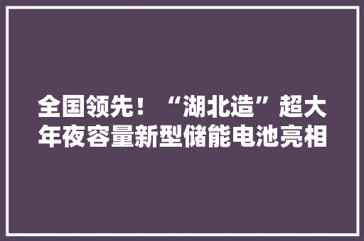全国领先！“湖北造”超大年夜容量新型储能电池亮相上海 全国领先！“湖北造”超大年夜容量新型储能电池亮相上海 智能家居