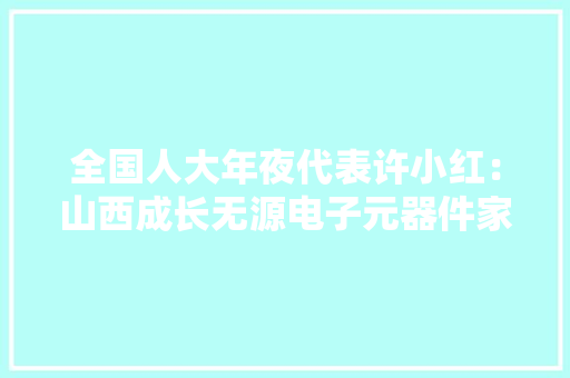 全国人大年夜代表许小红：山西成长无源电子元器件家当应列入国家计策