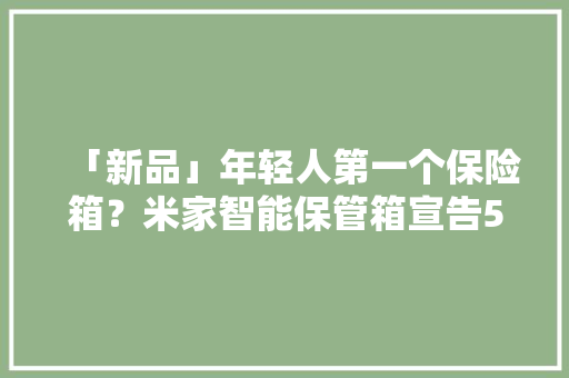 「新品」年轻人第一个保险箱？米家智能保管箱宣告599