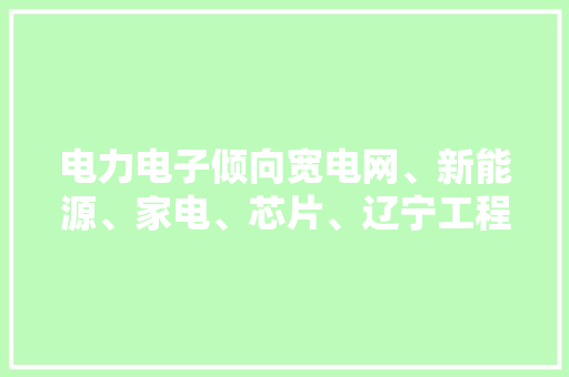 电力电子倾向宽电网、新能源、家电、芯片、辽宁工程技能 电力电子倾向宽电网、新能源、家电、芯片、辽宁工程技能 智能科技