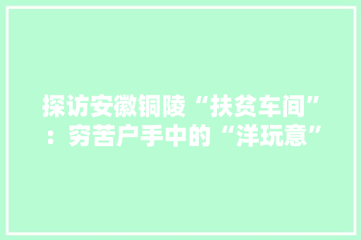 探访安徽铜陵“扶贫车间”：穷苦户手中的“洋玩意” 探访安徽铜陵“扶贫车间”：穷苦户手中的“洋玩意” 智能科技