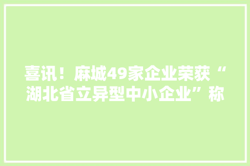 喜讯！麻城49家企业荣获“湖北省立异型中小企业”称号 喜讯！麻城49家企业荣获“湖北省立异型中小企业”称号 智能家居